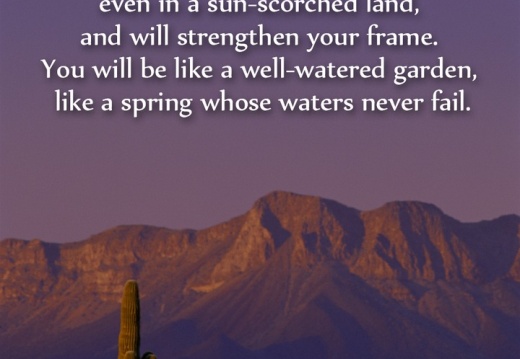 Isaiah-58-11