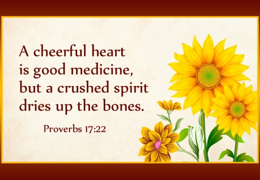 Proverbs-17-22-copy