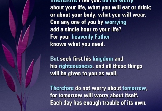 MATTHEW-6