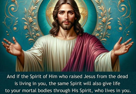 Romans-8-11-Copy