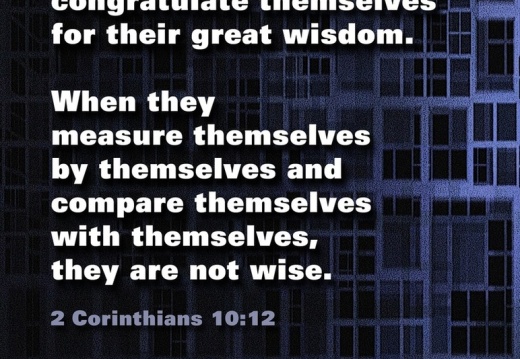 Reliable-Wisdom-01
