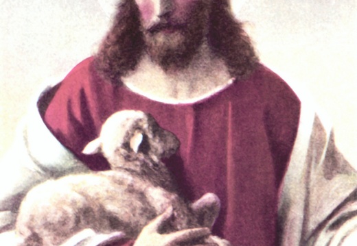 SHEPHERD-by-PLOCKHORST