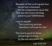 The steadfast love of the LORD