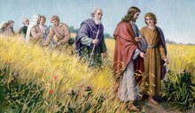 Christ in the wheat field