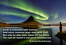 Earth is crammed with heaven